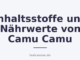 Inhaltsstoffe und Nährwerte von Camu Camu