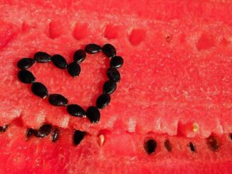 Wassermelonenkerne als neues Superfood entdeckt