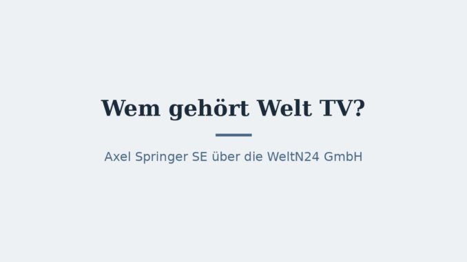 Wem gehört Welt TV? Eigentümer und Konzernstruktur 17