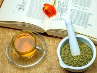 Zistrose und Zistrosentee