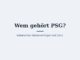 Wem gehört PSG? Eigentümer und Konzernstruktur 2