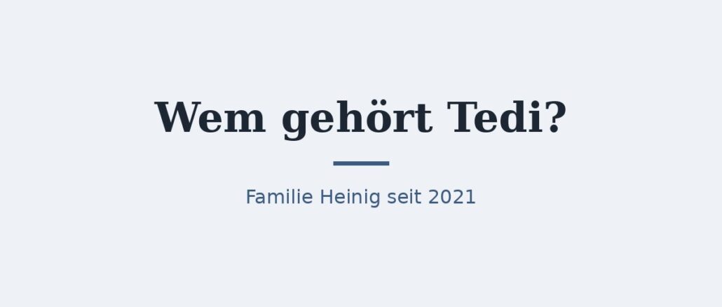 zu-wem-gehoert-tedi-titelbild.jpg Wem gehört Tedi? Eigentümer und Geschichte 1