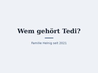 Wem gehört Tedi? Eigentümer und Geschichte 5